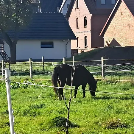 Сasa de vacaciones Bauwagen Rhumeblüte *